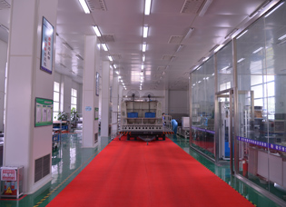 俄羅斯完全禁止原木出口